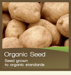 Organic Potatoes