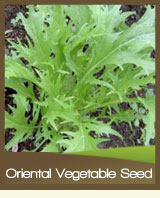 Oriental Vegetables