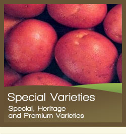 Special Varieties