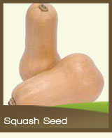 Squash