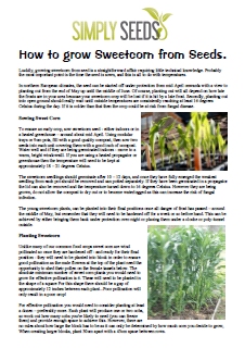 buy sweetcorn seeds