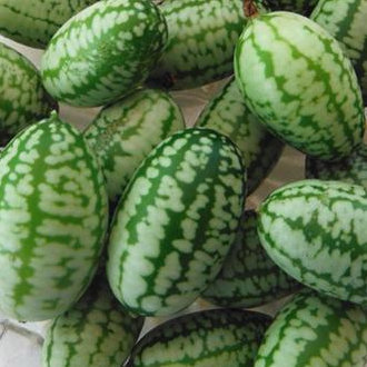 Cucamelon Seeds